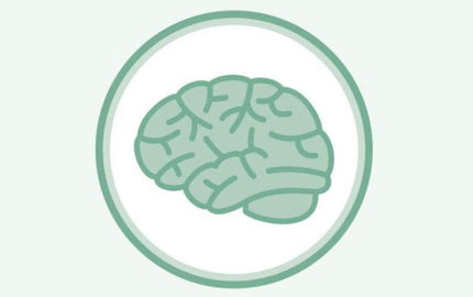 Fun Facts About The Brain That Will Blow Your Mind (Infographic)