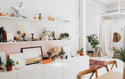 Organizing your Home (from clothes, home movies, and knick knacks)