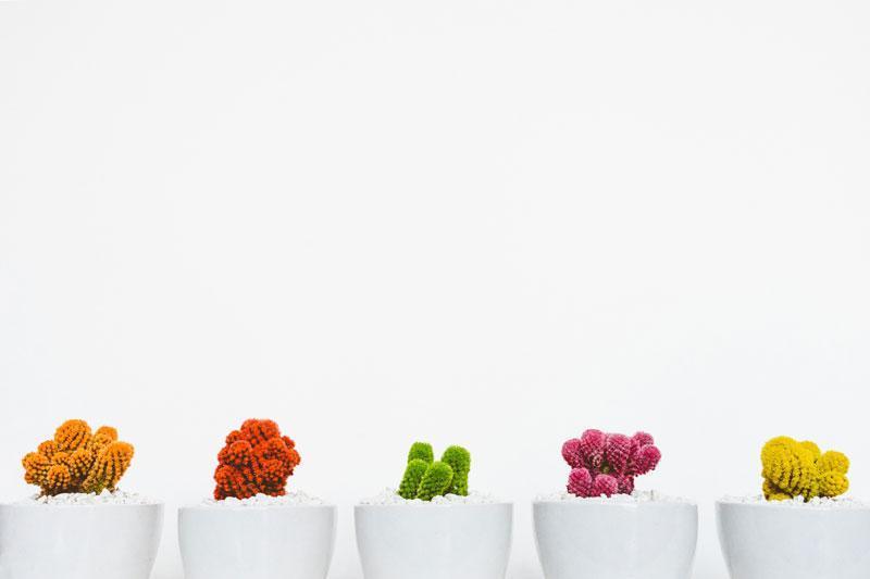Your Brain & Colors: How We Interpret Them