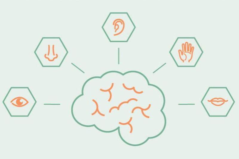 How We Create a Memory