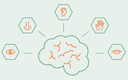 How We Create a Memory