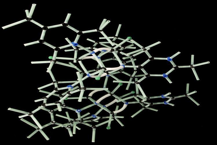 What is Genetic Memory?