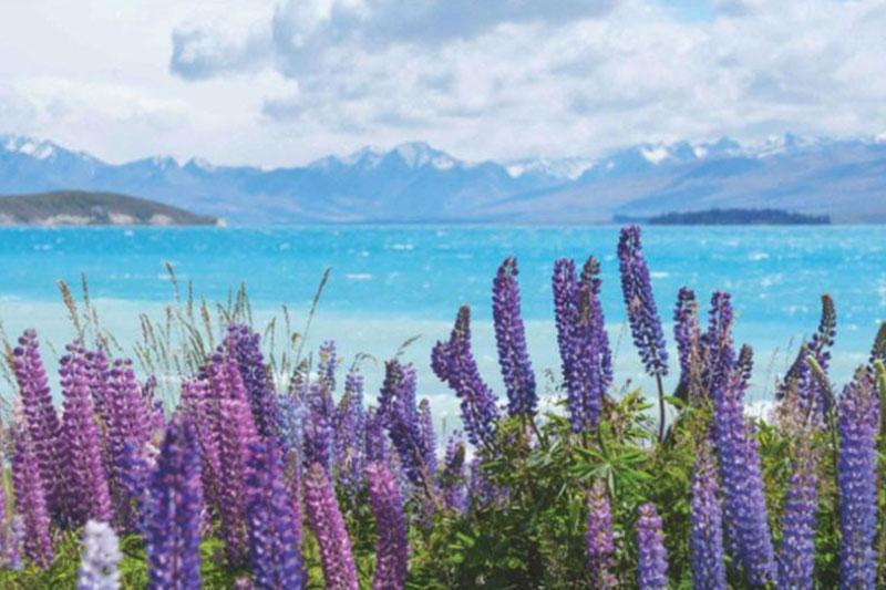 Create Happy Memories in The Top Happiest Countries