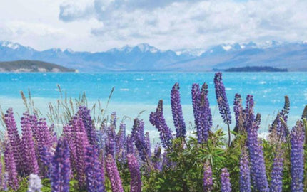 Create Happy Memories in The Top Happiest Countries