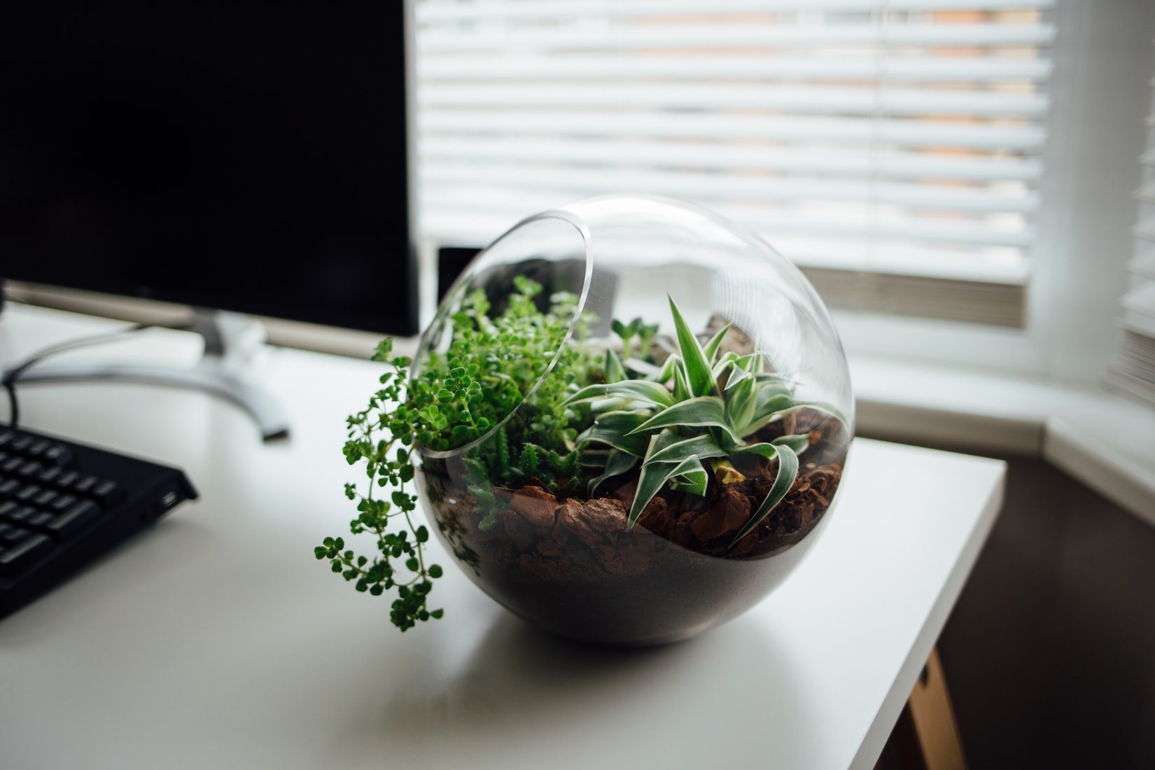 DIY: Mini Jar Terrarium
