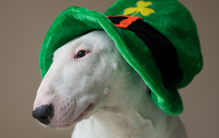 10 Things You Didn't Know About St. Patrick's Day