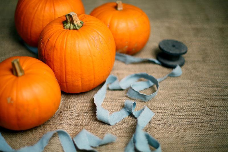 Fall in love with these EASY Fall decorations!