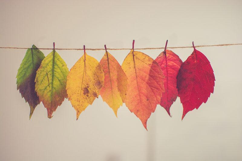 Your Mind Changes with the Seasons