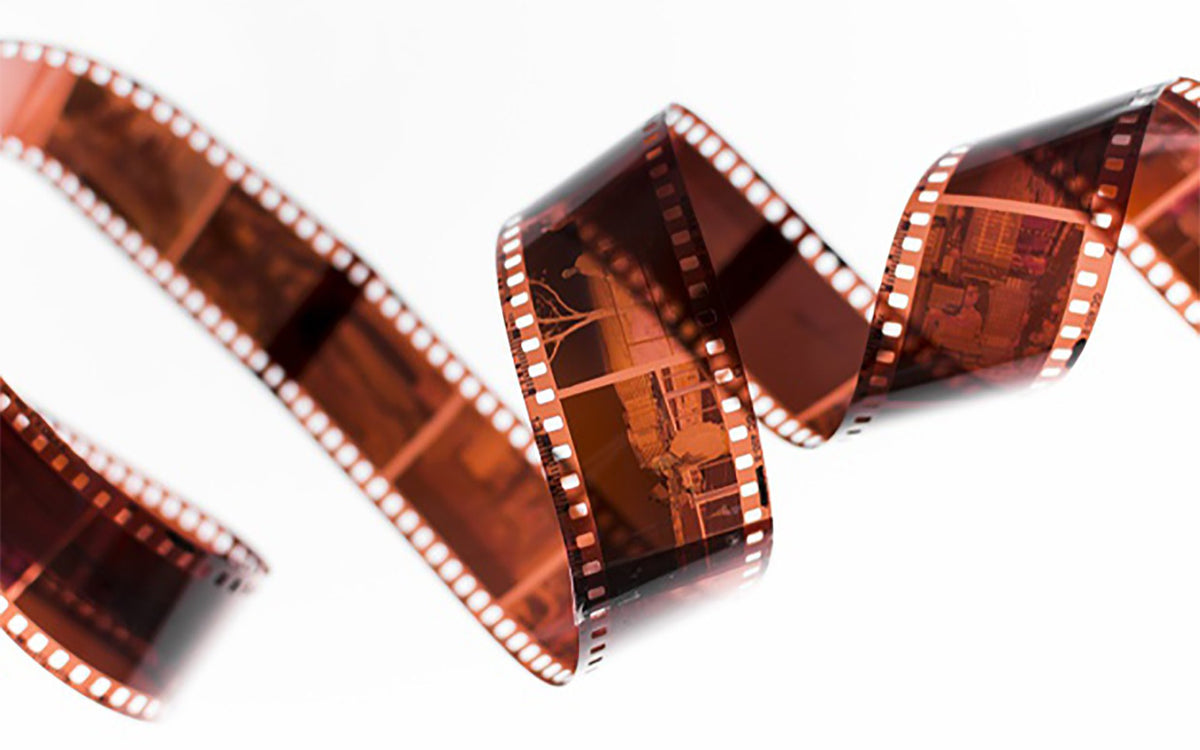 Fun Facts About Negatives – Legacybox