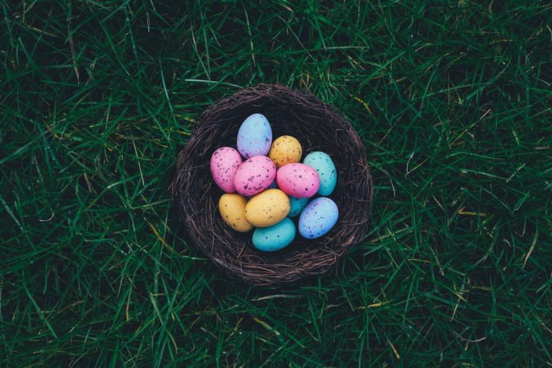 The Tale of the Easter Bunny