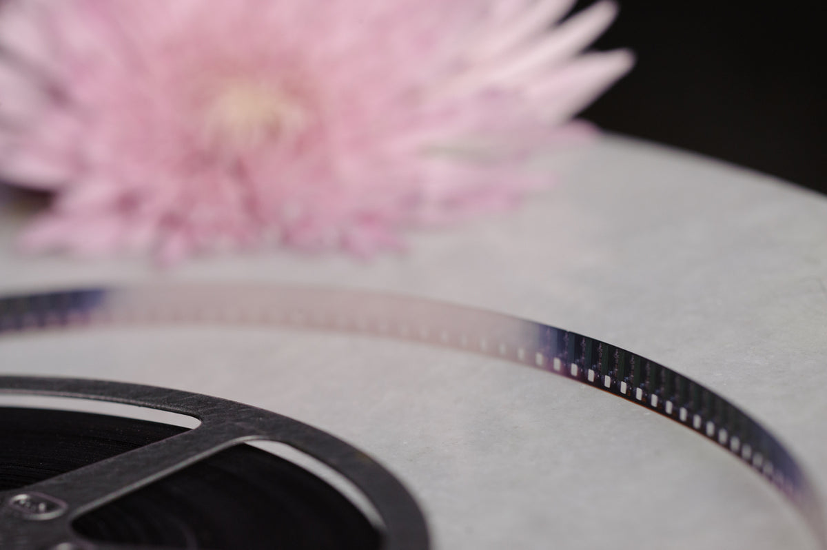What We Digitize – Legacybox