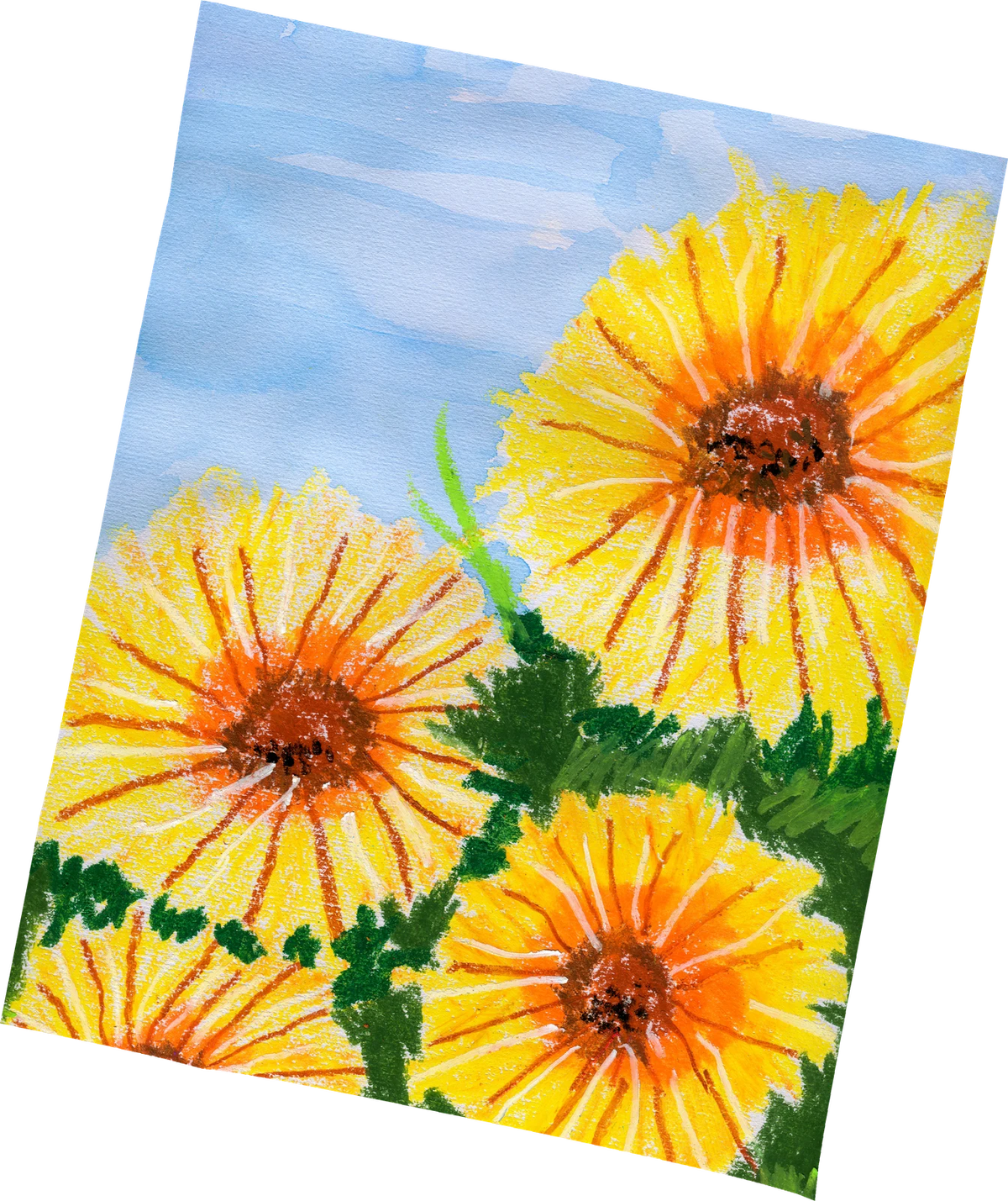 Drawings & Paintings