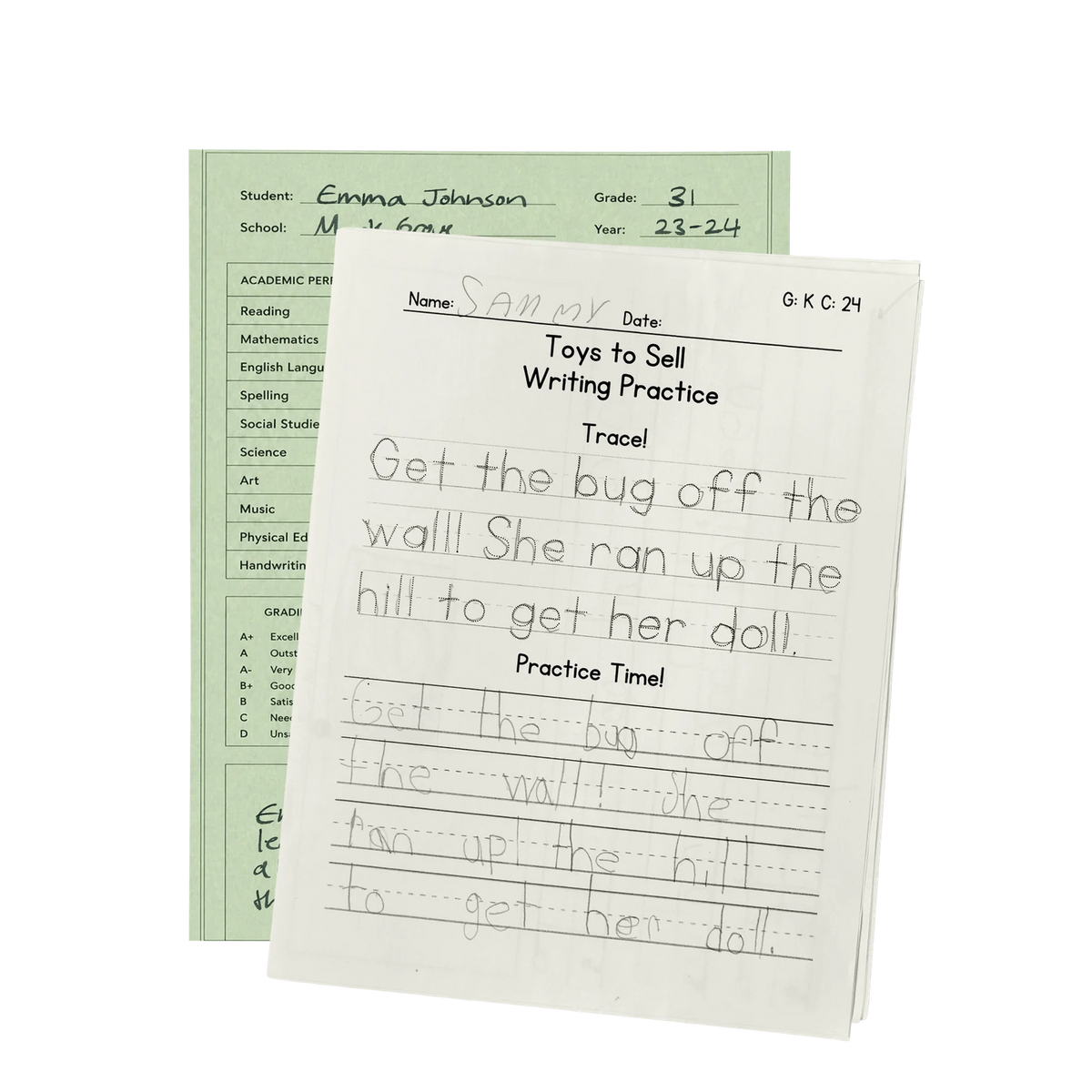 Report Cards & Schoolwork